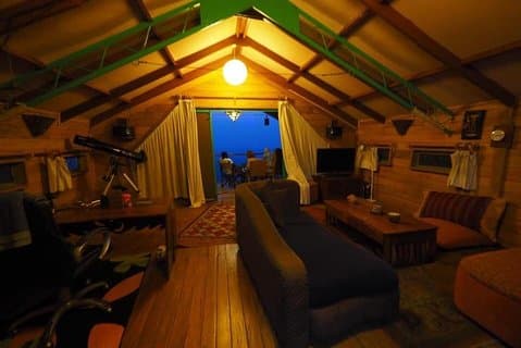 Gorilla und Schimpanse erleben Urlaub