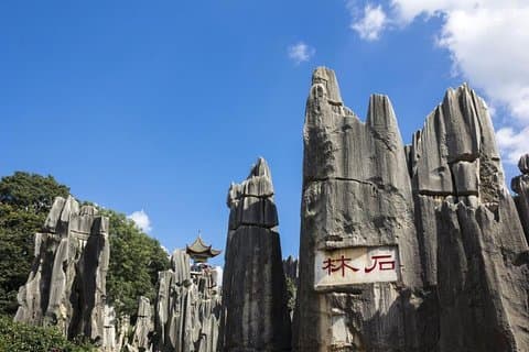 1-Day Self-Guided Stone Forest Geological Park Tour from Kunming