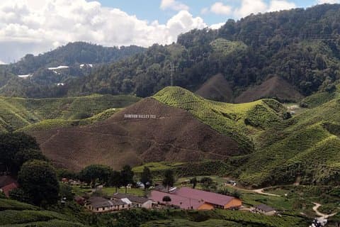 Excursion d'une journée à Cameron Highlands