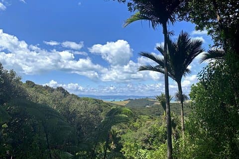 Caminata guiada privada de Te Ara Hura en la isla Waiheke