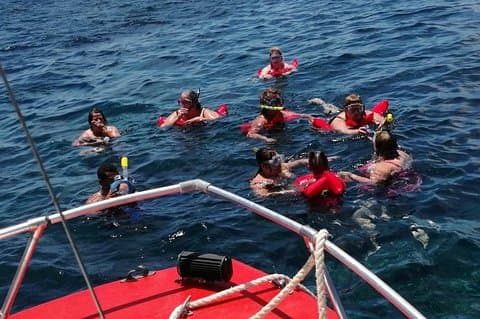 Guidet båttur og snorkling på Roatan med henting