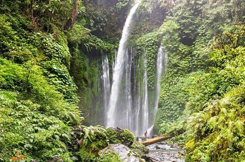 Sendang Gile und Tiu Kelep Waterfall Tour - Private Tagestour