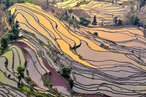 Excursión de 7 días desde Kunming a Lijiang y alojamiento en las terrazas de arroz de Yuanyang