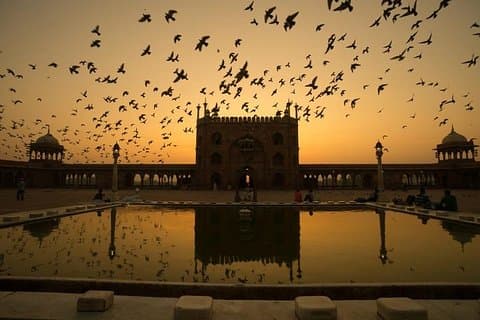 Privat AC Car Transfer-Agra Hotel till Delhi Airport