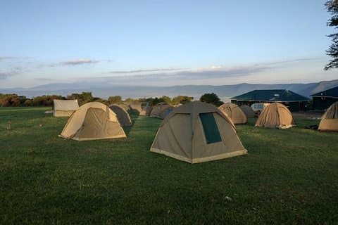 4 dager fantastiske Serengeti