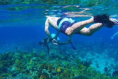 Glasbodenbootsfahrt / Schnorcheln / Booby Cay Island von Negril