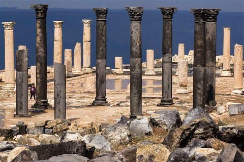 Jerash, Ajloun, & Um Qais Day Tour from Amman