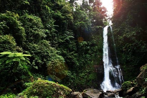 Noche en Bali 2 días 1 noche: Monte Batur KINTAMANI - BALI DEL NORTE DE LOVINA con HOTEL