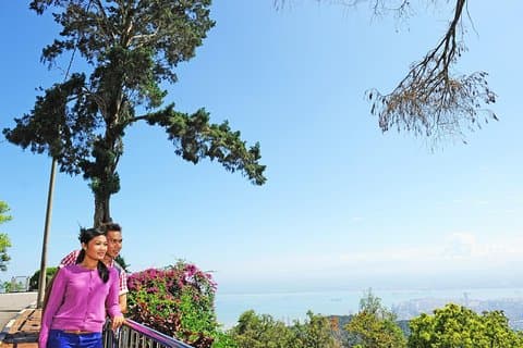 Group Tour: Full Day Pulau Penang Exploration Tour