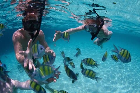 Bali Best SNORKELING à BLUE LAGOON et EAST BALI TOURS
