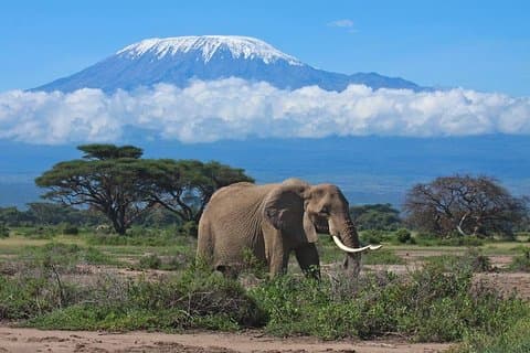 Kilimanjaro klatring, Machame rute, 7 dager.