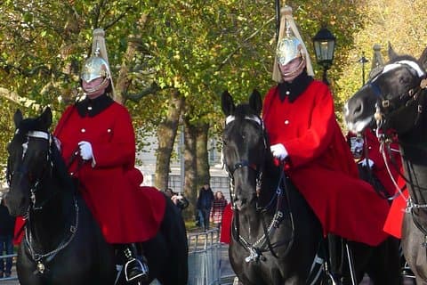 衛兵交代付きロイヤル・ロンドンのプライベートウォーキングツアー