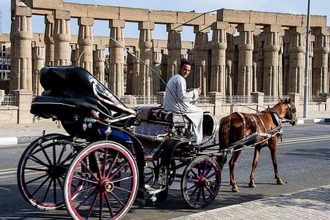 Luxor-Stadtrundfahrt mit der Pferdekutsche ab Westjordanland