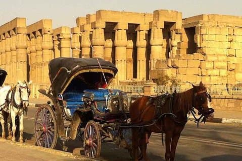 Luxor-Stadtrundfahrt mit der Pferdekutsche ab Westjordanland