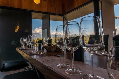 Tour in piccoli gruppi in 3 cantine nella North Uco Valley con pranzo