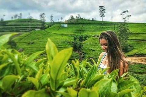 6N / 7D Kandy + Nuwaraeliya + Bentota + Colombo Fra CMB