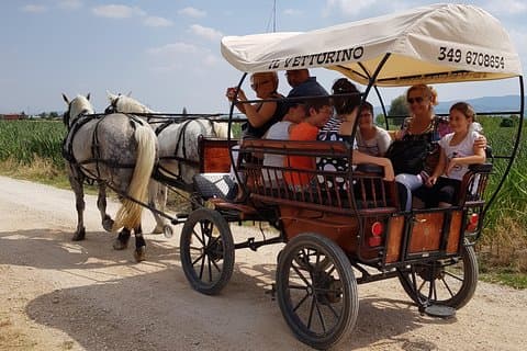 Tour la strada dei vini