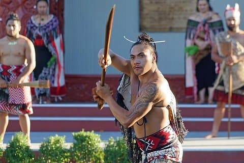 Tour di Te Puia, Haka Show e pranzo Tour per piccoli gruppi da Auckland