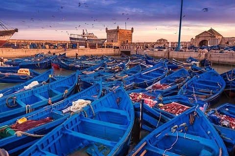 Beste delt dagstur til Essaouira fra Marrakech