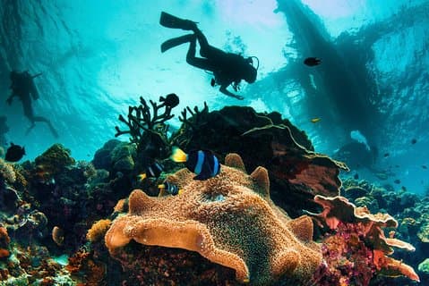 Discover Scuba Diving