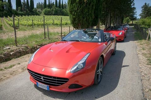 Langhe / Barolo / Alba - Tour in Ferrari