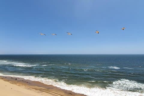Cultural Tour in Swakopmund