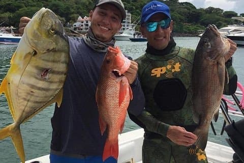 Pesca de alto mar de 6 horas no Golfo do Panamá