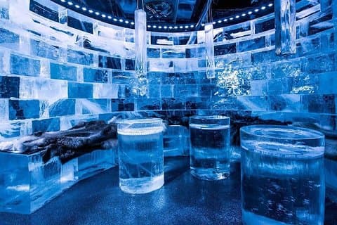 Privat rundtur i Stockholm med ett besök i Absolute ice bar