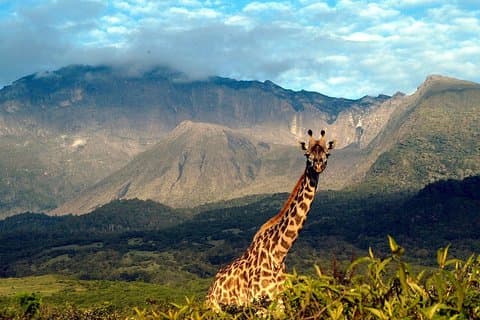Trekking no Monte Meru, 4 dias e 3 noites