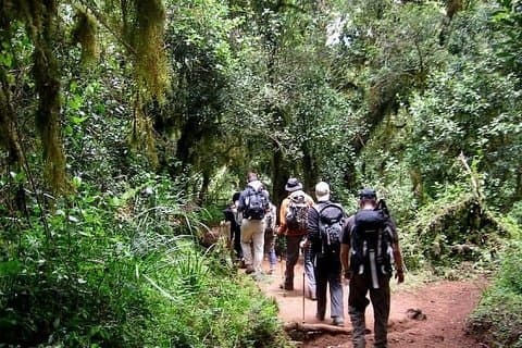 5-dagers Mt.Kenya-klatring Chogoria-porten ned Sirimon-ruten