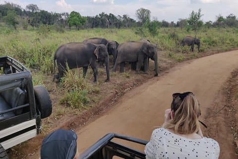 Hurulu Eco Park Safari