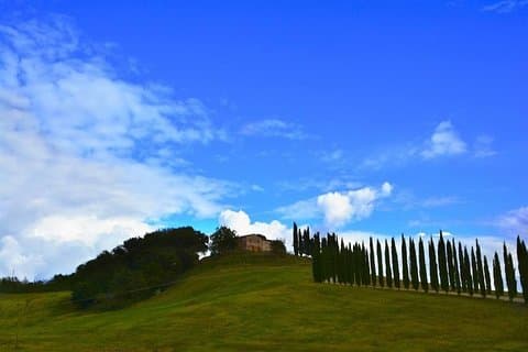 Montalcino und Brunello Wine Private Tour