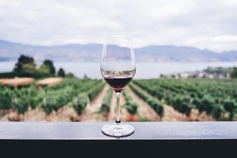 Degustación de Vinos y Productos Regionales Experiencia Privada de Medio Día
