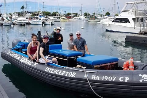 Billeder af Big Island: Marine Wildlife Excursion