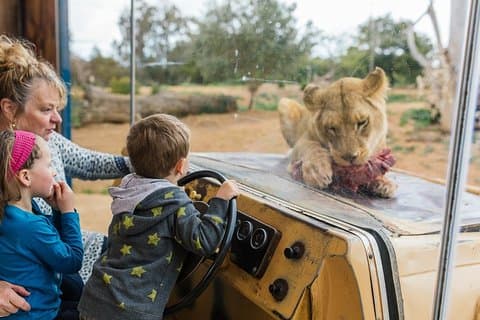 Werribee Open Range Zoo Stehplatzticket