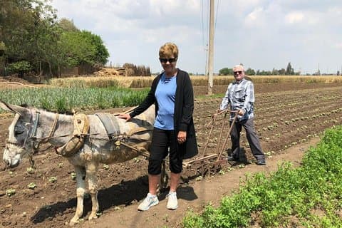 Voyage à la campagne en Egypte