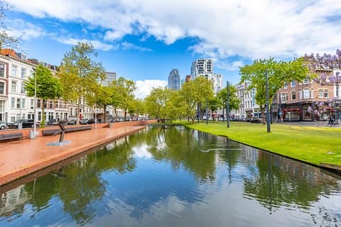 Erkunden Sie Rotterdam in 90 Minuten mit einem Einheimischen