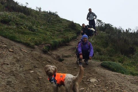 Ruco Pichincha Summit Hike