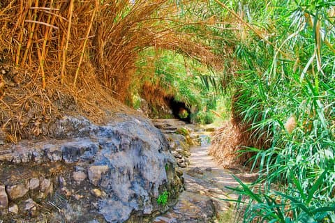 Ein Gedi and Masada Day Trip from Eilat