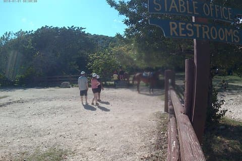 Horseback ride n Swim