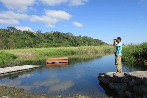 Bird Watching Tour