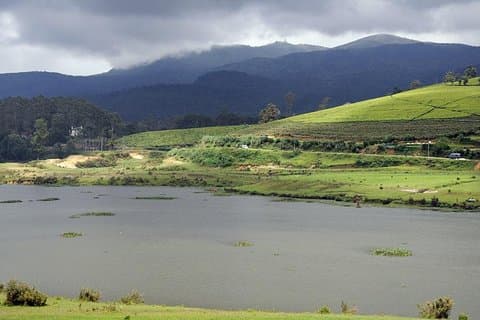 Excursion d'une journée de Kandy à Nuwara Eliya - Lanka Ramayana Tour