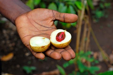 Zanzibar Spice & Night Market: Cooking & Street Food Tour
