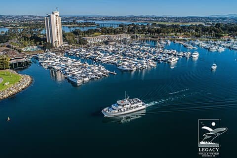 San Diego : Crucero de 3 horas de observación de ballenas con Legacy Whale Watch