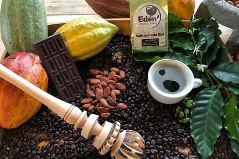 Tour dell'Eden Mocca