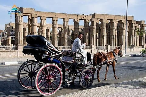 Excursão pela cidade de Luxor de carruagem a cavalo no Egito