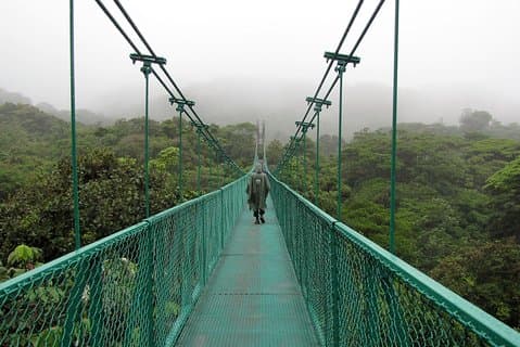 Rain Forest Monteverde,Hanging Bridges, Sloths,Birds Watching