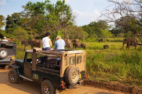 Safari animalier privé au parc écologique Hurulu