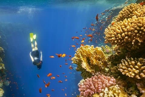 Tour privado de um dia De Luxor a Hurghada
