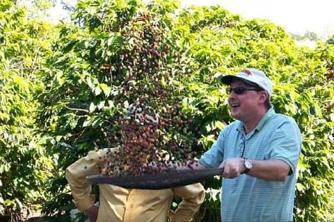 ブラジルコーヒーツアー: 農場での田舎文化とランチ 6時間